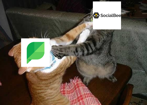 SocialBee vs. Sprout Social