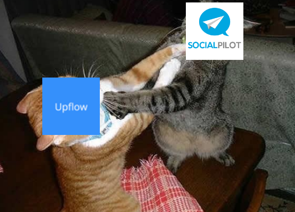SocialPilot vs. Upflow